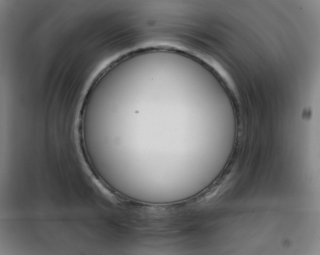 X0000101700799200807101344