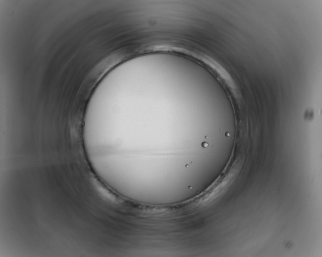 X0000101700801200807101344