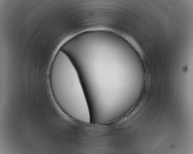 X0000101700805200807101344