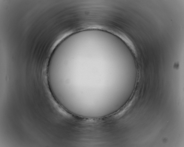 X0000101700806200807101344