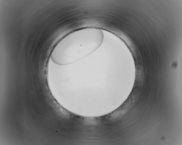 X0000101700807200807101344