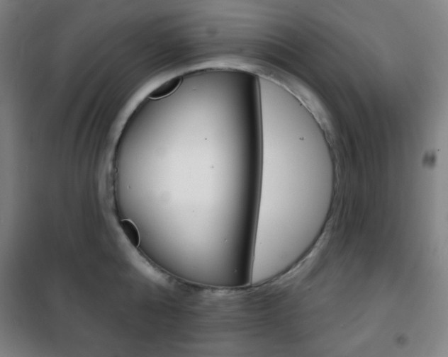 X0000101700808200807101344