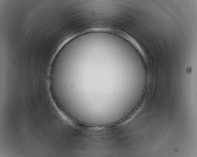 X0000101700810200807101344