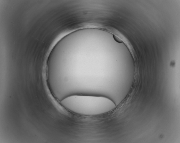 X0000101700811200807101344