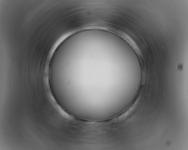 X0000101700812200807101344