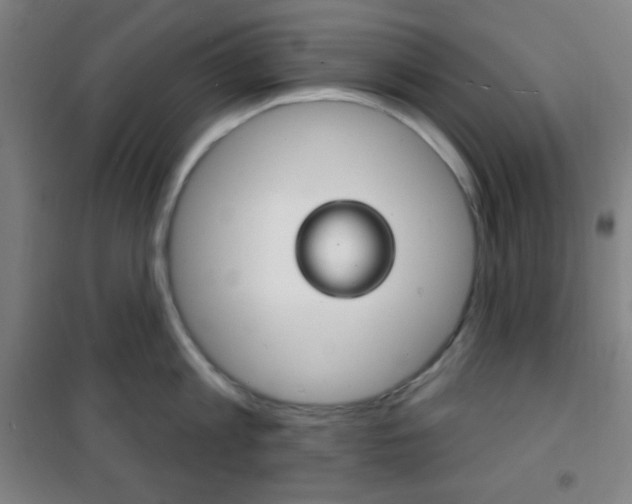 X0000101700813200807101344