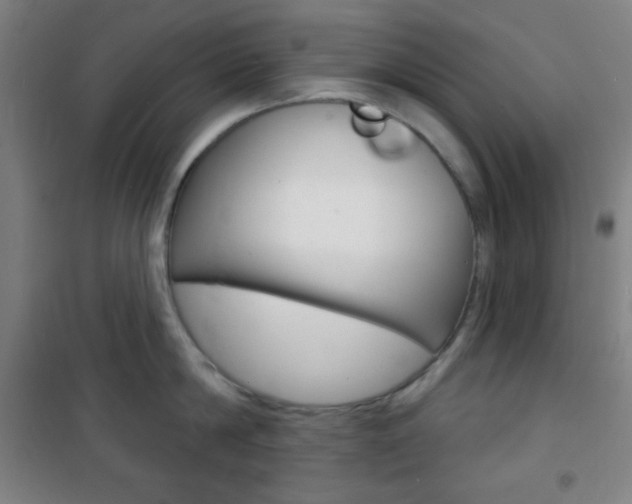 X0000101700814200807101344