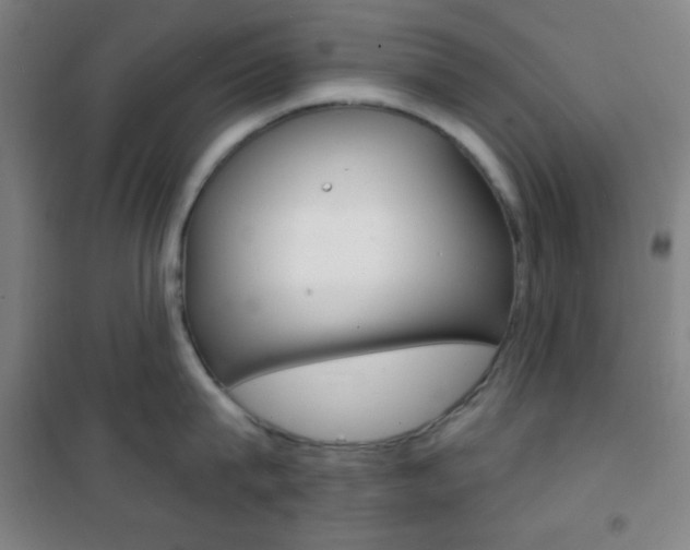 X0000101700815200807101344
