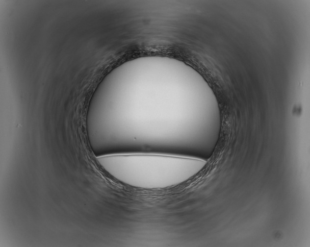 X0000101700817200807101344