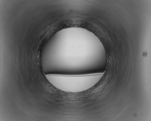 X0000101700818200807101344
