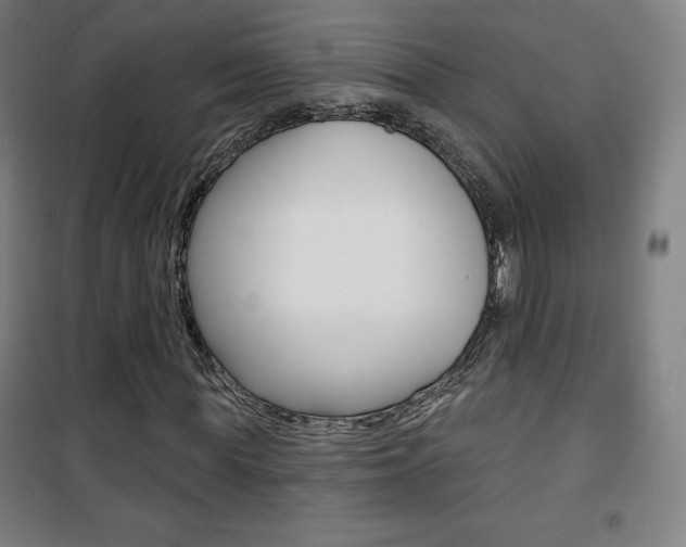 X0000101700819200807101344