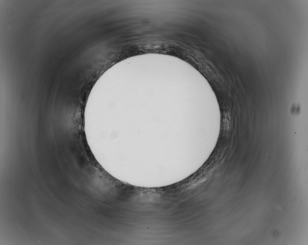 X0000101700820200807101344
