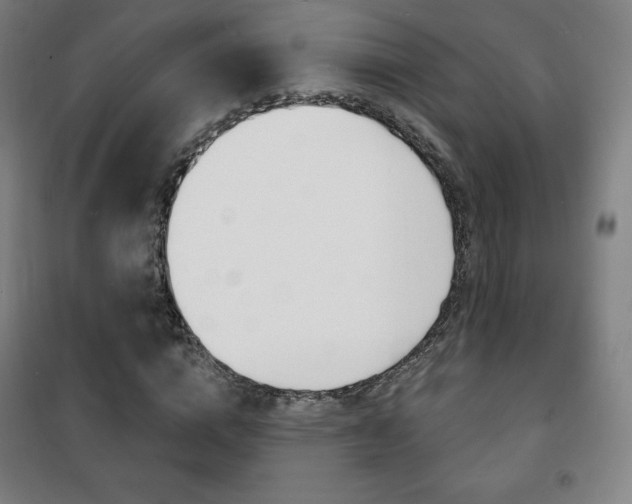 X0000101700824200807101344