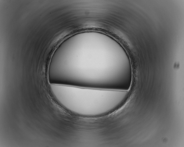 X0000101700825200807101344