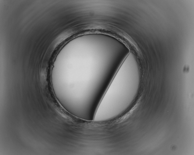 X0000101700826200807101344