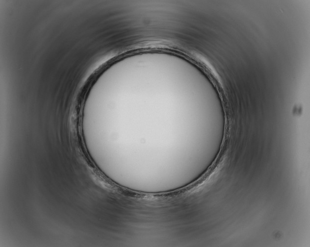 X0000101700827200807101344