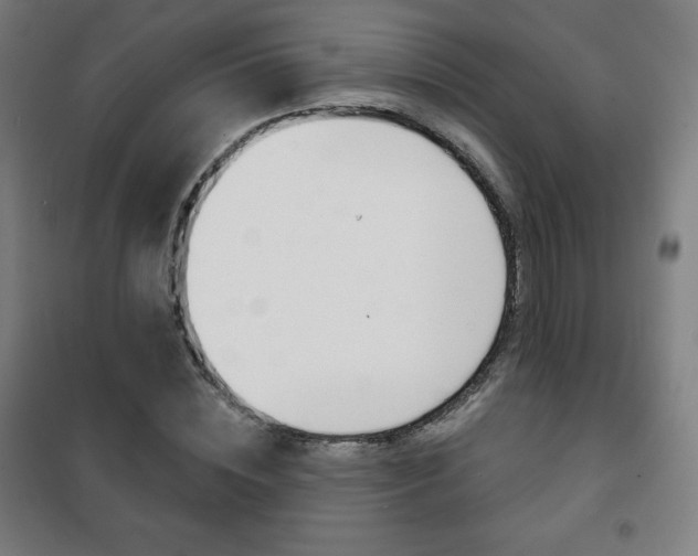 X0000101700828200807101344