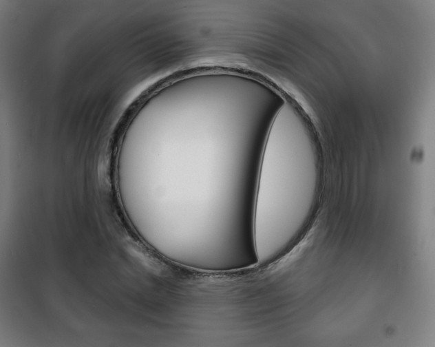 X0000101700830200807101344