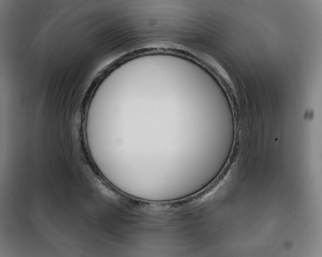 X0000101700831200807101344