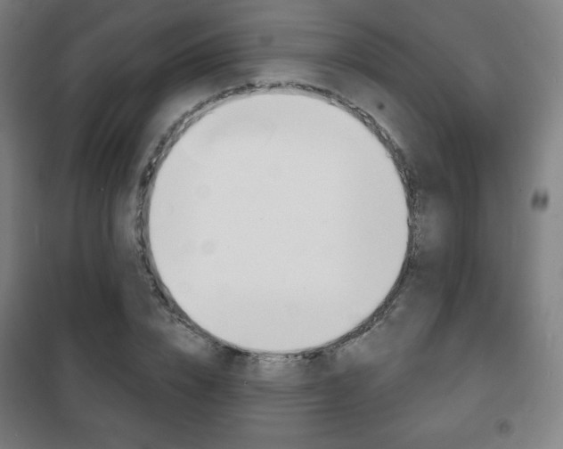 X0000101700832200807101344