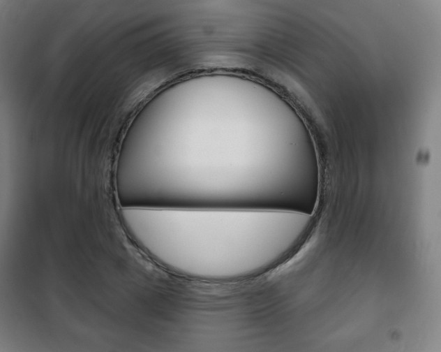 X0000101700833200807101344