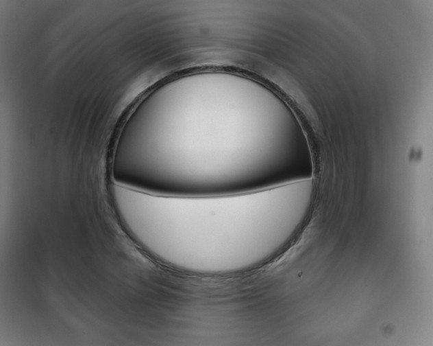 X0000101700834200807101344