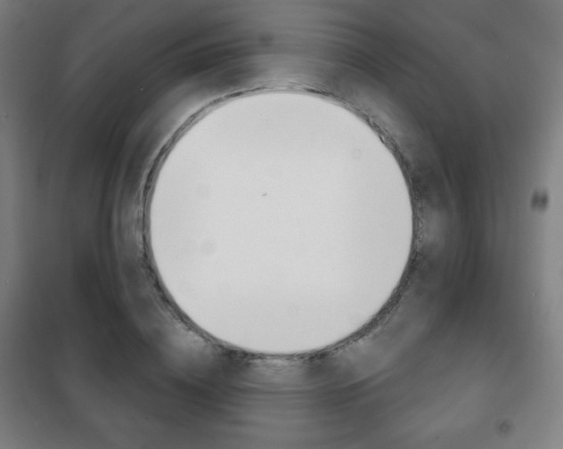 X0000101700836200807101344