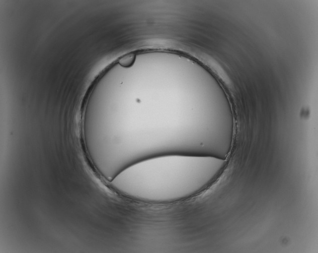X0000101700839200807101344