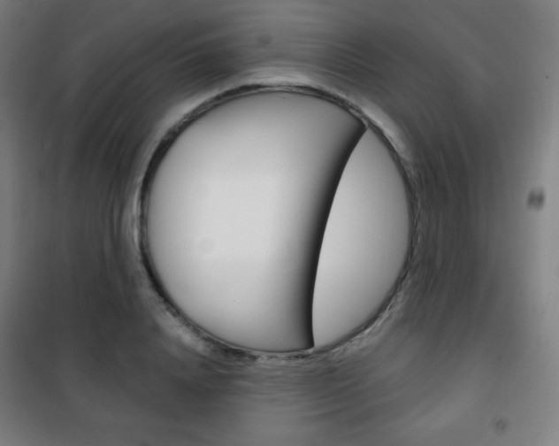 X0000101700840200807101344