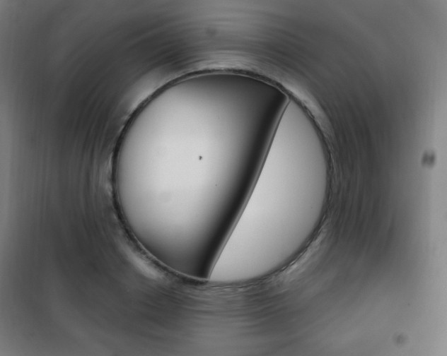 X0000101700842200807101344
