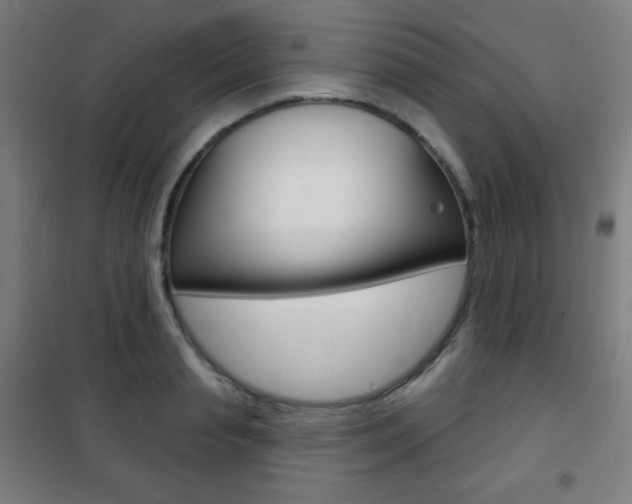 X0000101700845200807101344