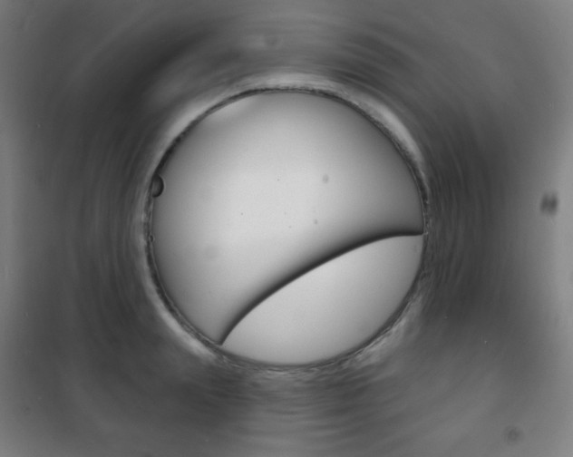 X0000101700847200807101344