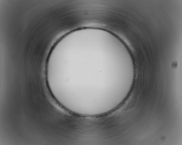 X0000101700848200807101344
