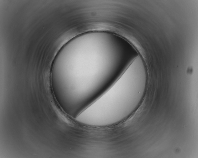 X0000101700850200807101344