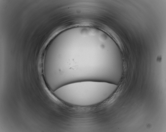 X0000101700851200807101344