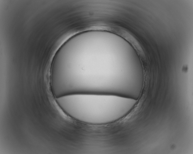X0000101700852200807101344