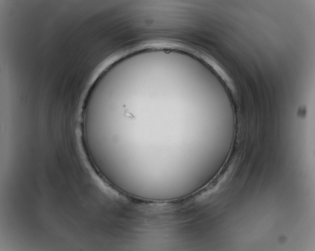 X0000101700853200807101344
