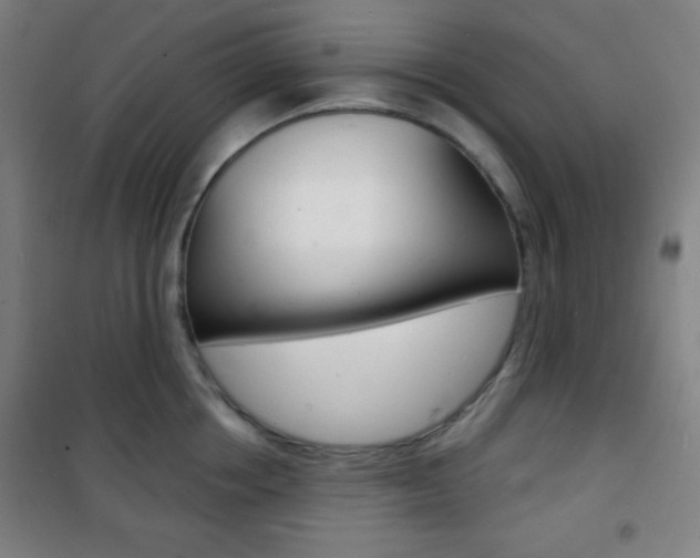 X0000101700858200807101344