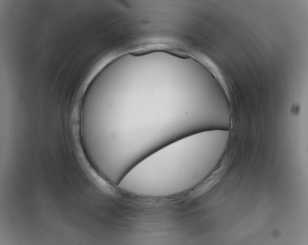X0000101700859200807101344