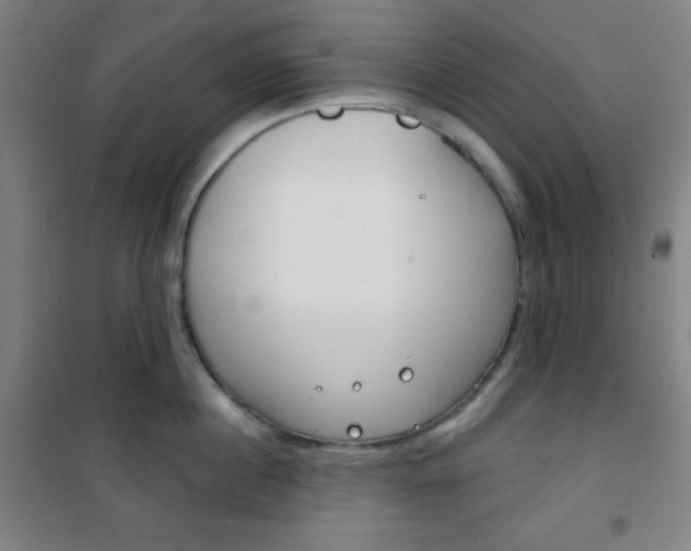 X0000101700860200807101344