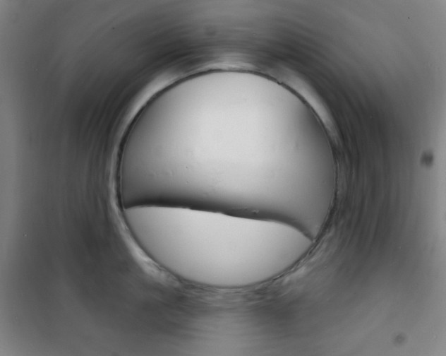 X0000101700861200807101344