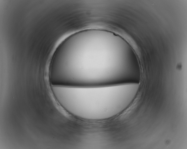 X0000101700862200807101344
