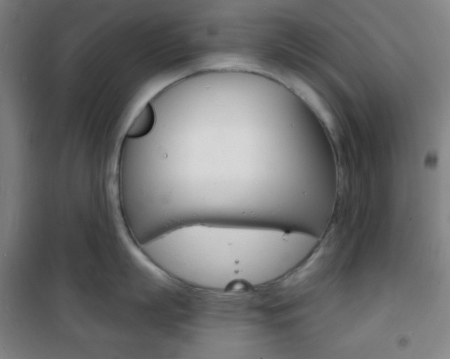 X0000101700863200807101344