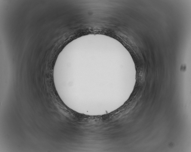 X0000101700865200807101344