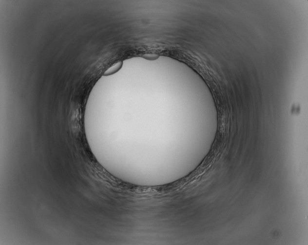 X0000101700866200807101344