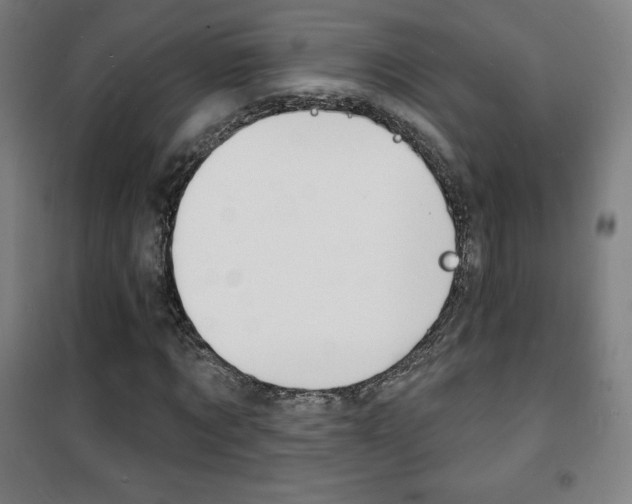 X0000101700869200807101343