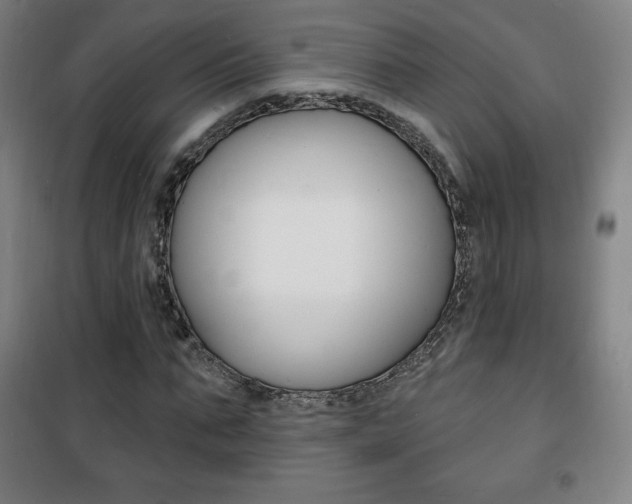 X0000101700871200807101343