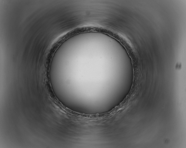 X0000101700872200807101343