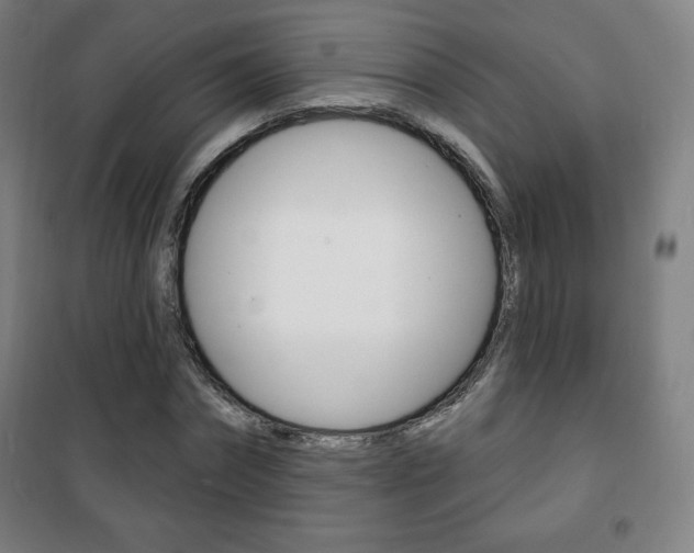 X0000101700874200807101343