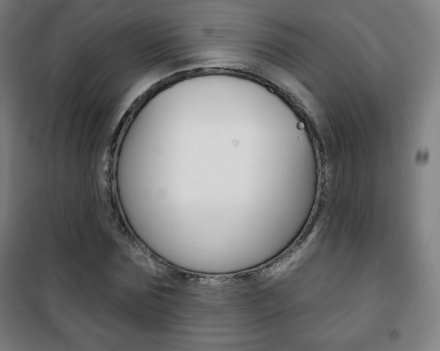 X0000101700875200807101343